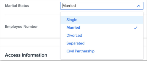 A screenshot of a computer

Description automatically generated